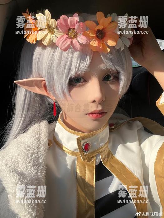 腥味猫罐 腥味猫罐的短裤合集:谁会想到呢?