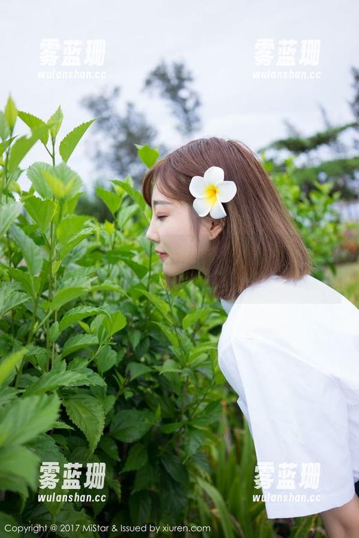 魅妍社-谢芷馨Sindy 魅妍社 - 谢芷馨Sindy最新旗袍写真集——这个色彩搭配神经病?!